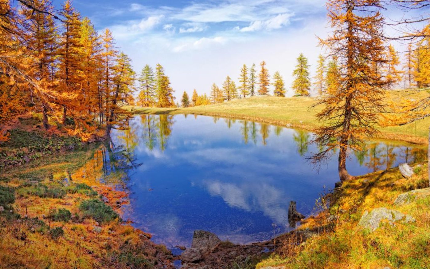 Special offer: autumn short break